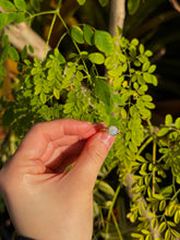 Load image into Gallery viewer, Opalite Wrapped Ring