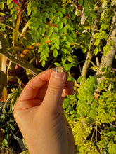 Load image into Gallery viewer, Citrine Wrapped Ring
